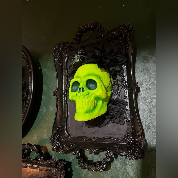 Green Skull Academia - Picture 3 of 3